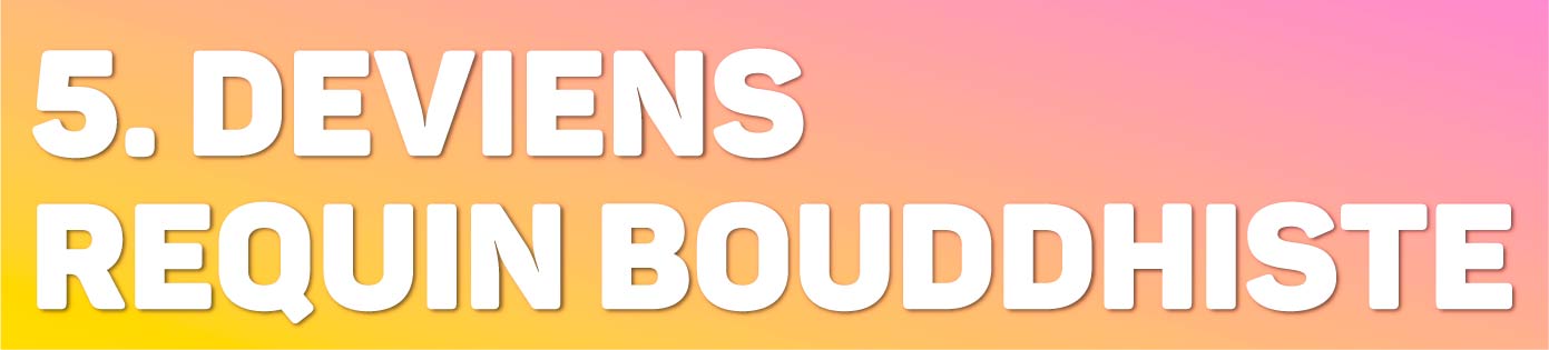 Episode 5 - Deviens requin bouddhiste